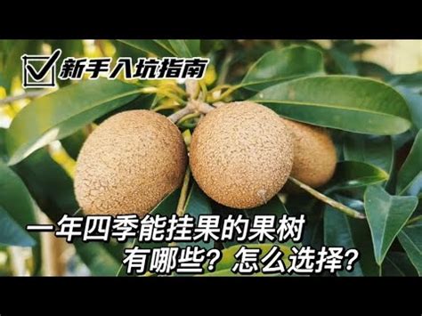 北部適合種的水果|藍山園藝